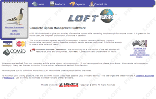 Loft Pro