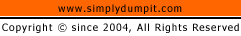 Copyright since 2004
